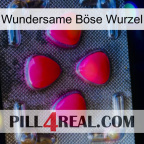 Wundersame Böse Wurzel 13